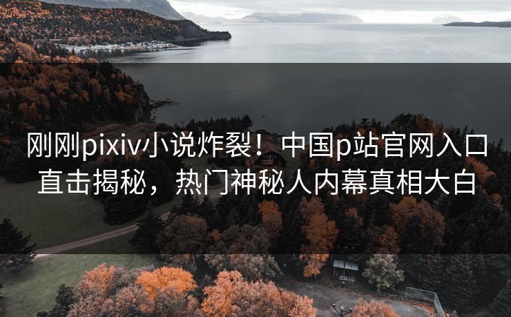 刚刚pixiv小说炸裂！中国p站官网入口直击揭秘，热门神秘人内幕真相大白