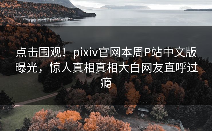 点击围观！pixiv官网本周P站中文版曝光，惊人真相真相大白网友直呼过瘾