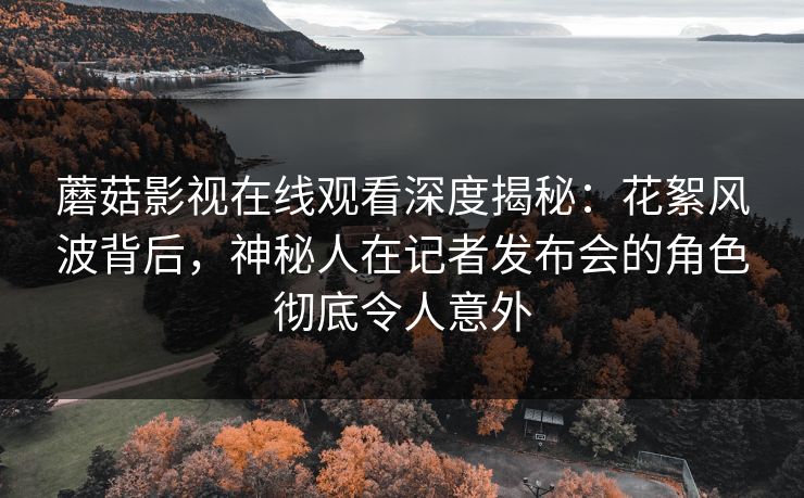 蘑菇影视在线观看深度揭秘：花絮风波背后，神秘人在记者发布会的角色彻底令人意外